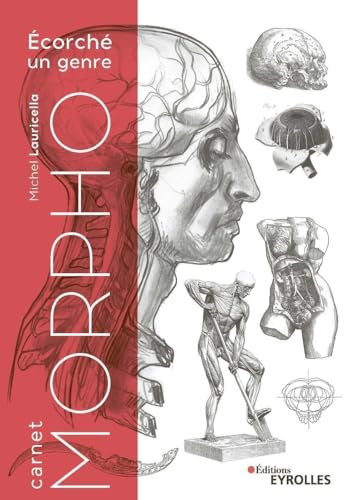 Carnet morpho
